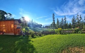 Holzerjuwel - Minzlhof Ramsau am Dachstein